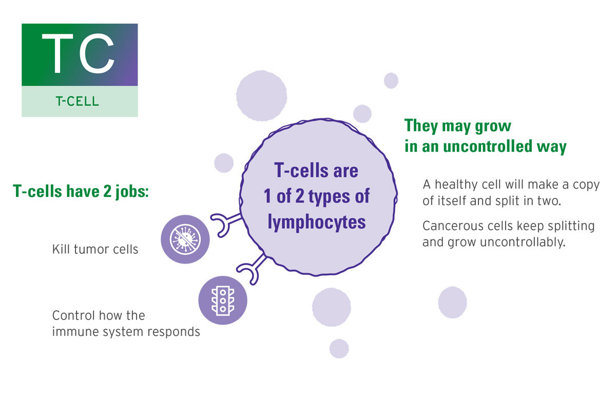 Image outlining the T-cell structure and duty in relation to T-cell therapy.